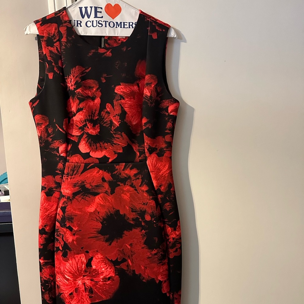 Size 10 Calvin Klein Red and black dress